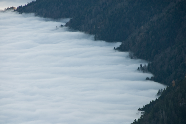 Die Brandung des Nebelmeeres, gesehen von der Rigi