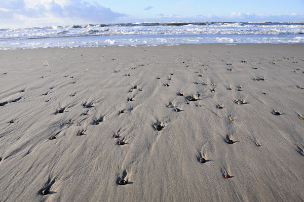 Strand bei Søndervig